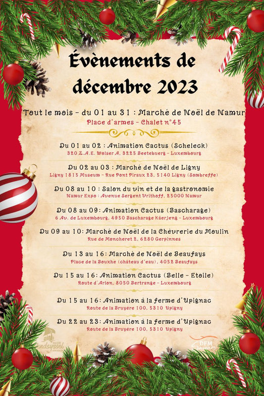 Retrouvez nous sur de multiples sites pour cette fin d'année 2023 !